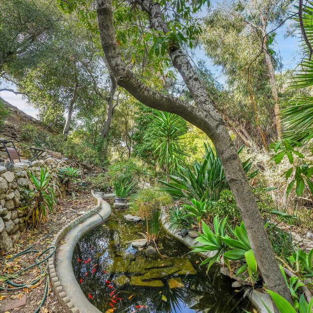 https://tujungahouse.com/wp-content/uploads/2025/02/pond-640x640.jpg